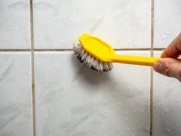  Westlake Corner, VA Mold Removal Pros